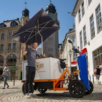 Elektro-Lastenfahrrad Alba