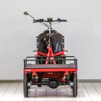 Elektro-Lastenfahrrad Alba