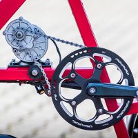 Elektro-Lastenfahrrad Alba