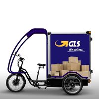 Elektro-Lastenfahrrad Flori