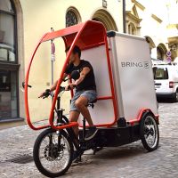 Elektro-Lastenfahrrad Flori