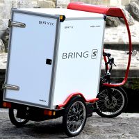 Elektro-Lastenfahrrad Flori