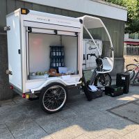 Elektro-Lastenfahrrad Flori
